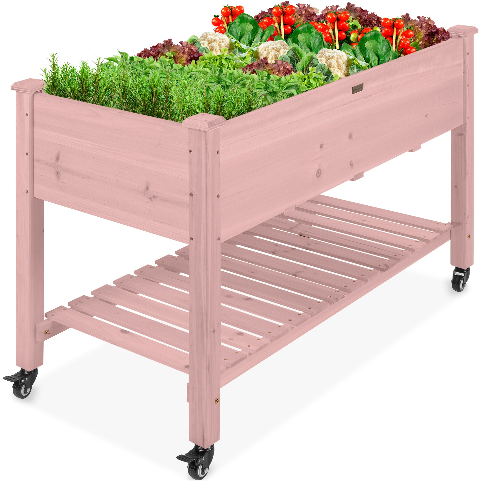 Best Choice Products 48x24x32 Mobile Elevated Raised Garden Bed