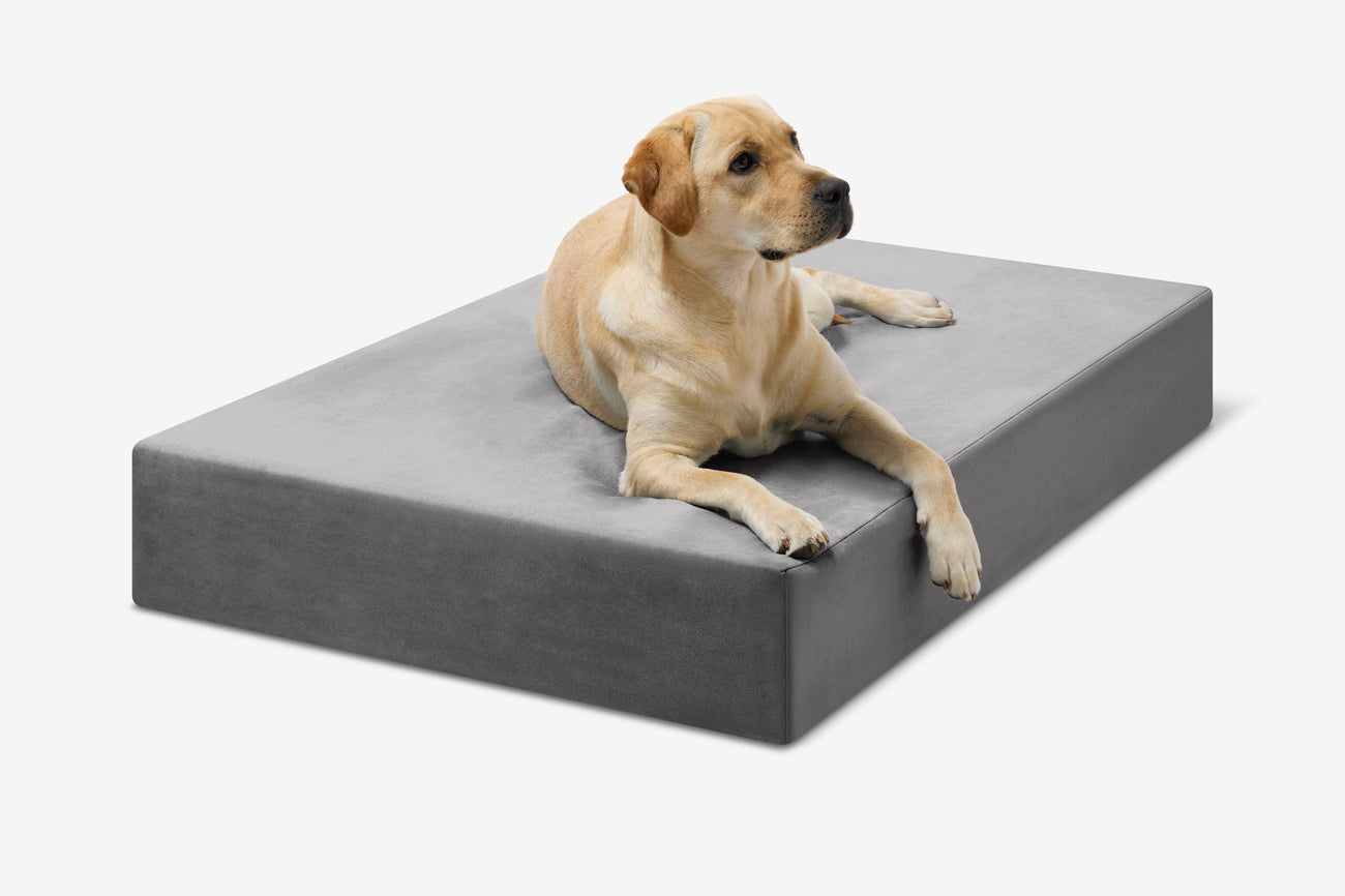 Big Barker Original Orthopedic Dog Bed