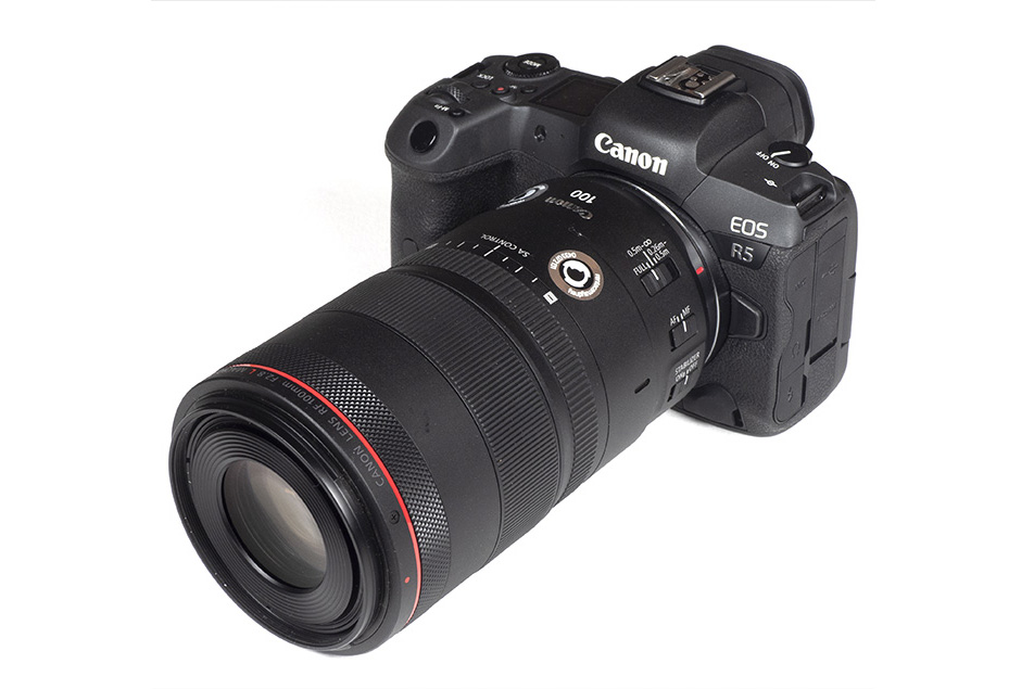 Canon RF 100mm f/2.8L Macro IS USM (RF mount)