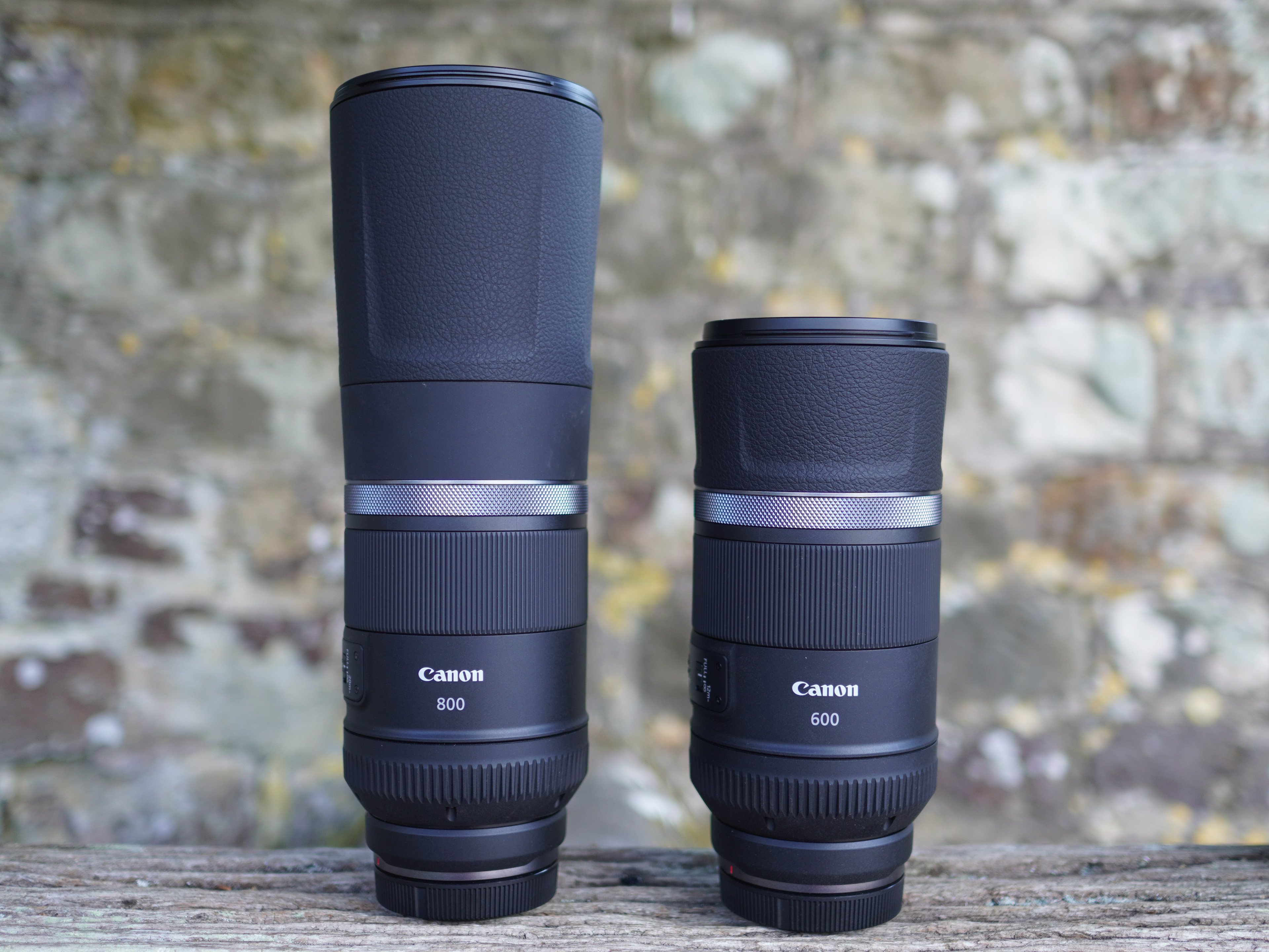 Canon RF 800mm F11 IS STM