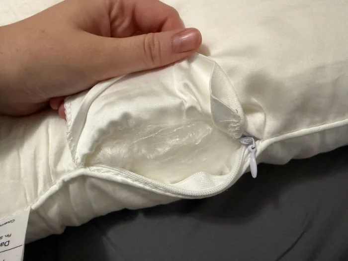 Cozy Earth Mulberry Silk Pillow