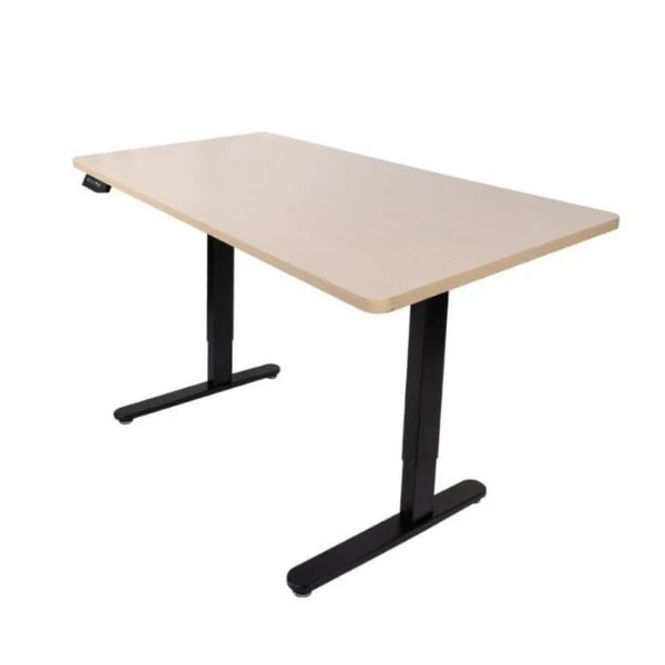 FlexiSpot EN1 Standing Desk (40")