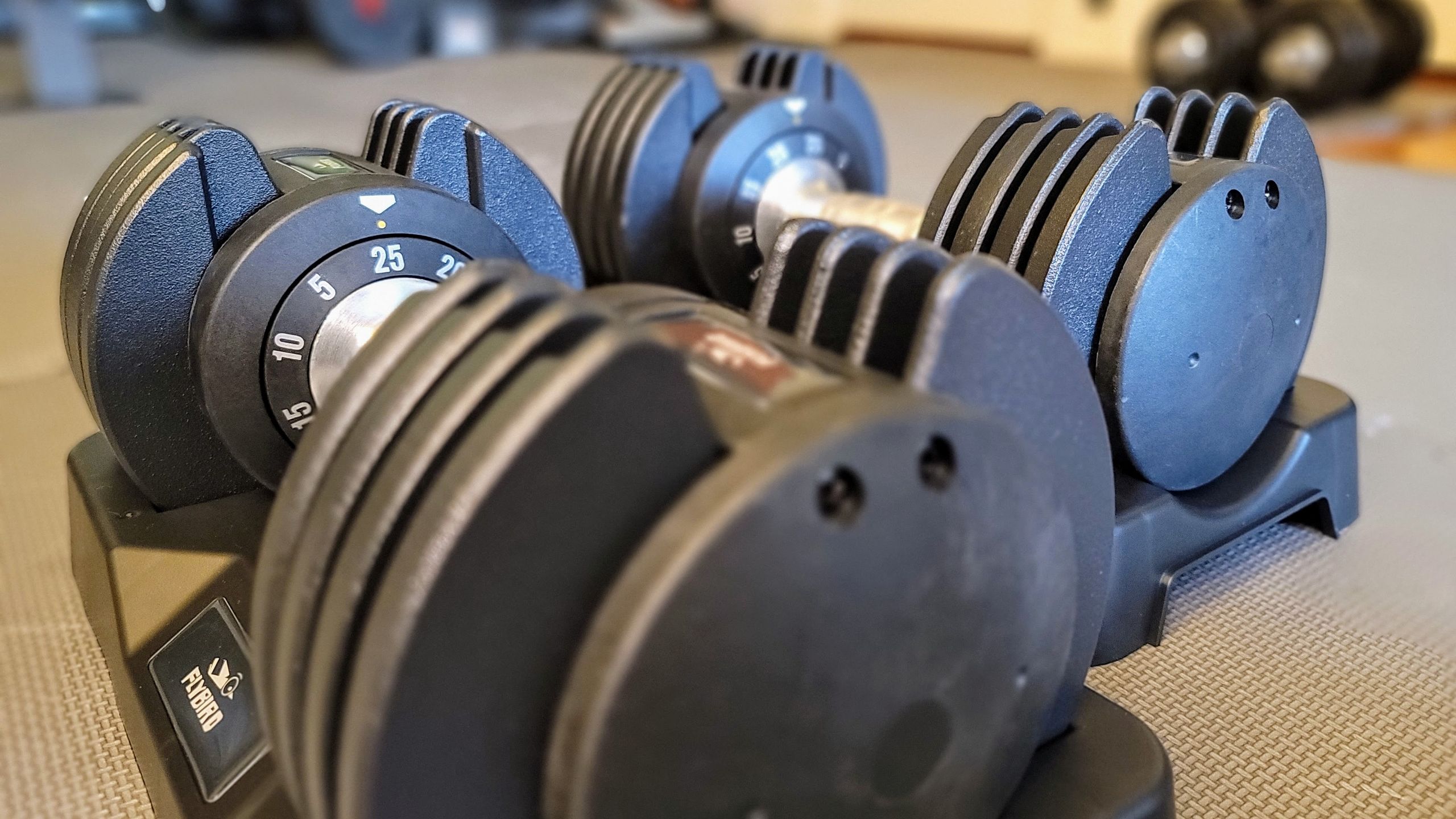 FLYBIRD Adjustable Dumbbell