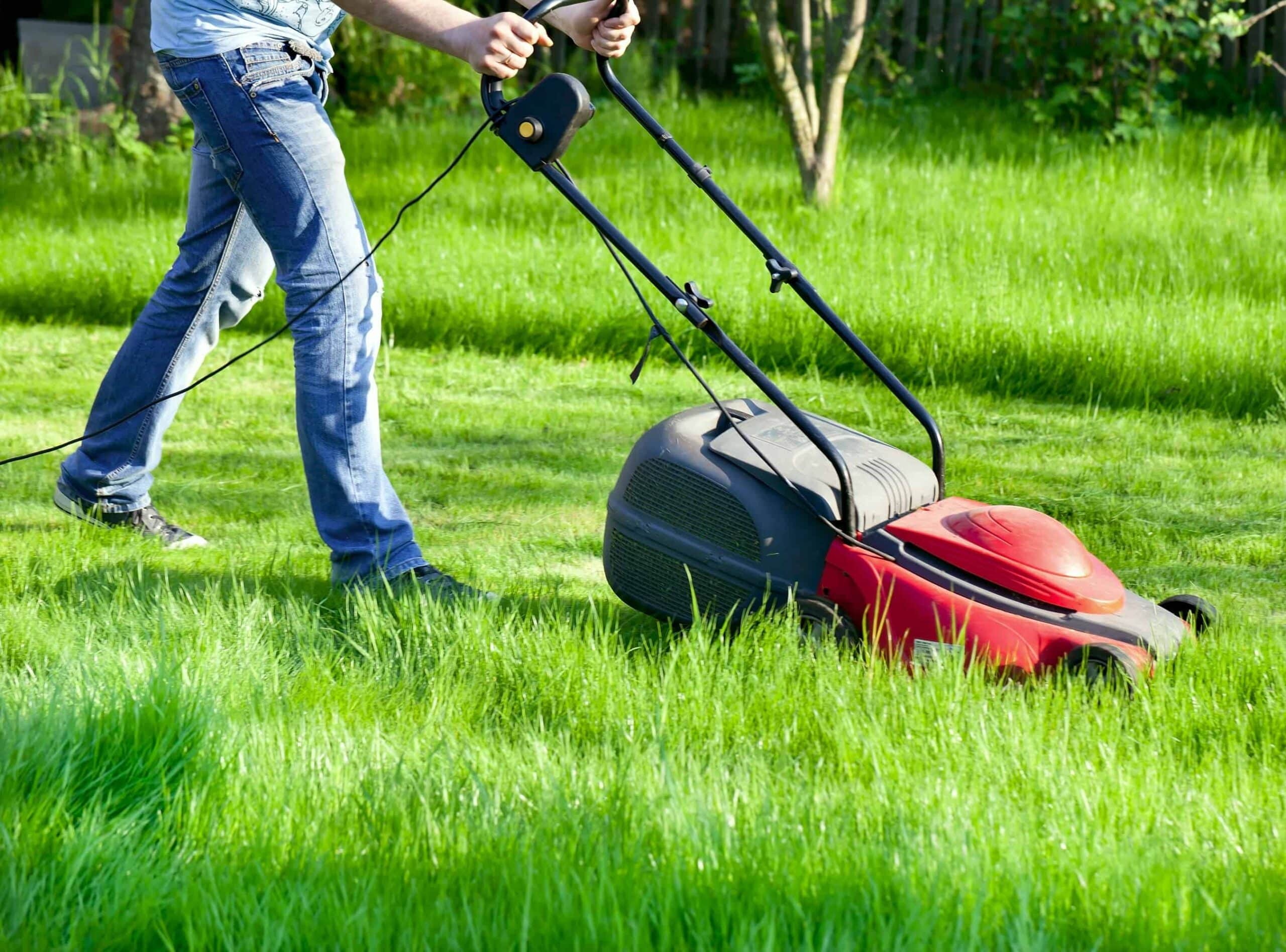 Greenworks Pro 60V 21"