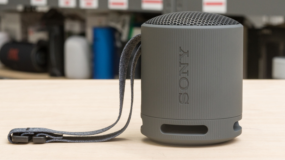 Sony SRS-XB100
