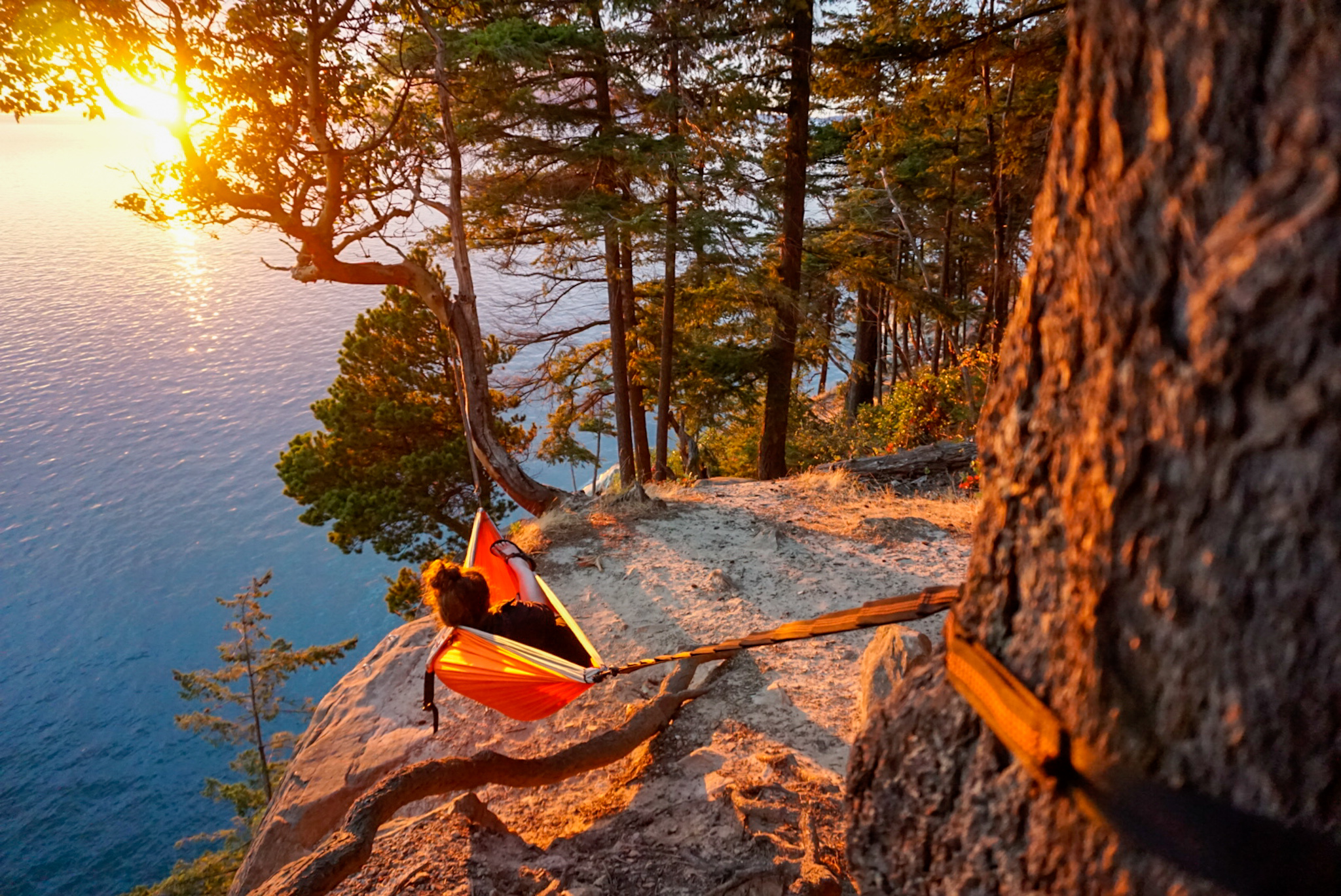 Wise Owl Outfitters Single