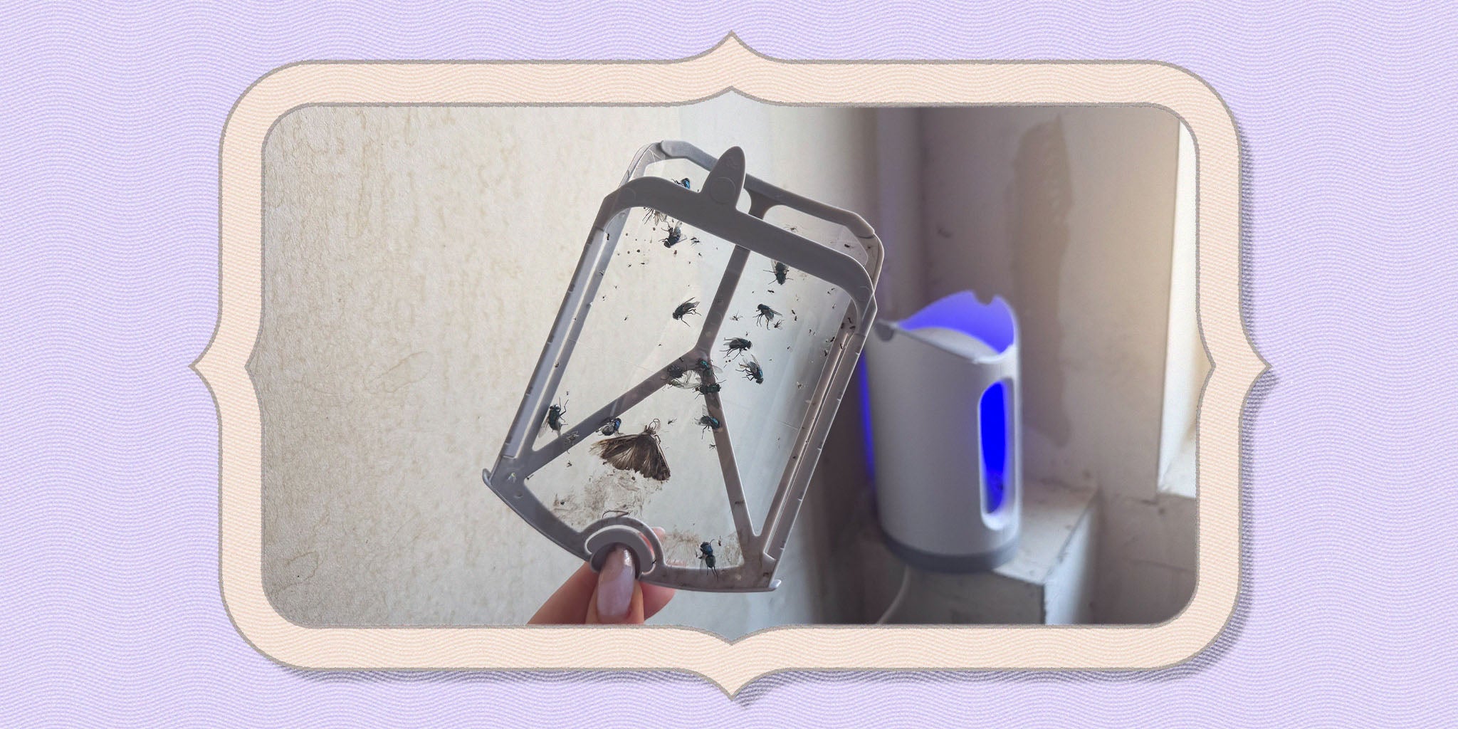 Zevo Flying Insect Trap