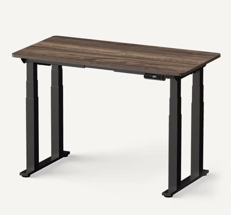 Flexispot E7 Pro Plus Standing Desk