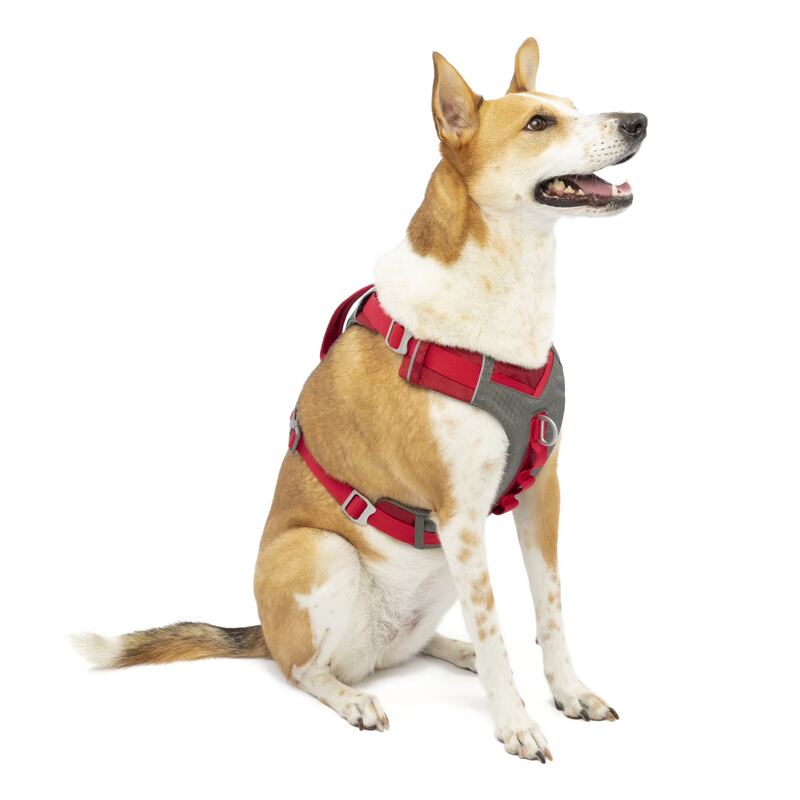 Kurgo Journey Air Dog Harness