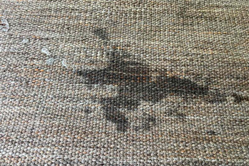 Quince Sloane Indoor/Outdoor Rug (8' x 10', Natural)