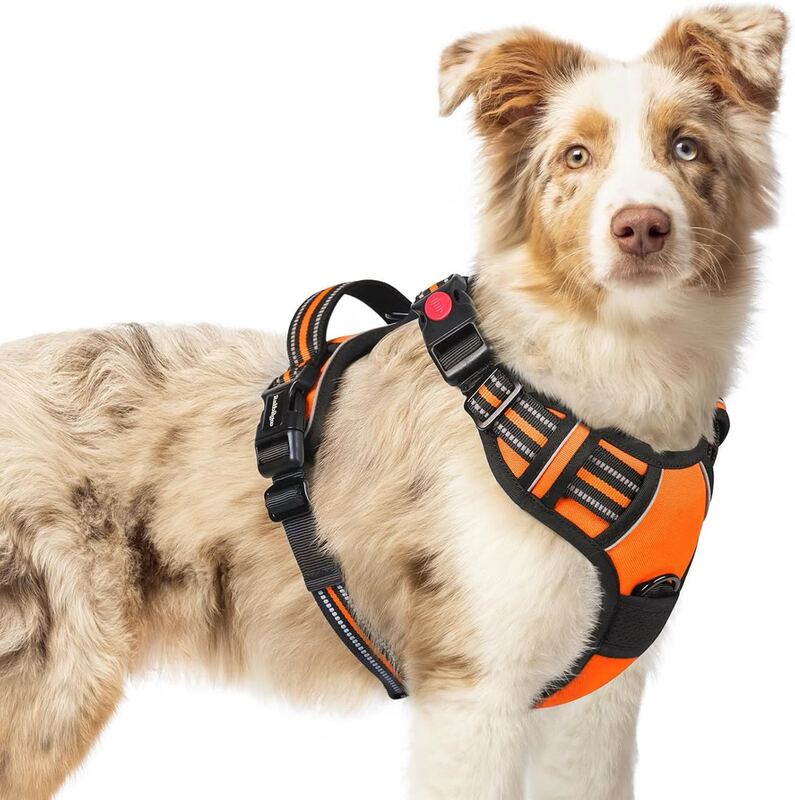 Rabbitgoo Dog Harness