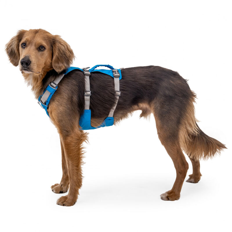 Ruffwear Flagline Harness