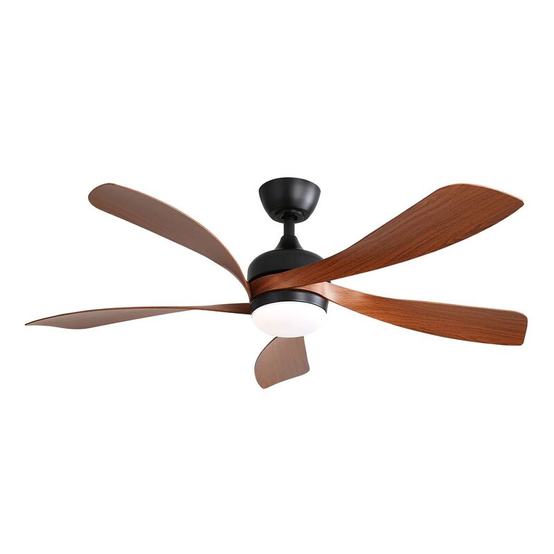 Sofucor Ceiling Fan